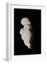 Venus of Willendorf-null-Framed Giclee Print