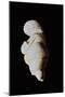 Venus of Willendorf-null-Mounted Giclee Print