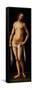 Venus - Peinture De Lorenzo Costa (1460-1535) - 1515-1517 - Oil on Wood - 174X76 - Szepmuveszeti Mu-Lorenzo Costa-Framed Stretched Canvas