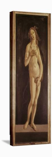 Venus Pudica-Sandro Botticelli-Stretched Canvas