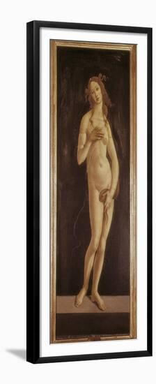 Venus Pudica-Sandro Botticelli-Framed Premium Giclee Print