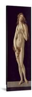 Venus Pudica-Sandro Botticelli-Stretched Canvas