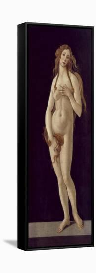 Venus Pudica-Sandro Botticelli-Framed Stretched Canvas