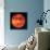 Venus, Radar Map-Digital Vision.-Mounted Premium Photographic Print displayed on a wall