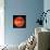 Venus, Radar Map-Digital Vision.-Photographic Print displayed on a wall