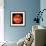 Venus, Radar Map-Digital Vision.-Framed Photographic Print displayed on a wall