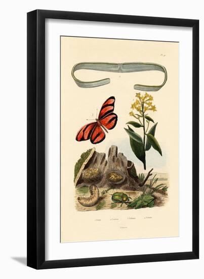 Venus's Girdle, 1833-39-null-Framed Giclee Print