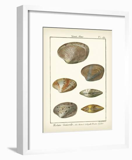 Venus Shells, Pl.281-Diderot-Framed Art Print