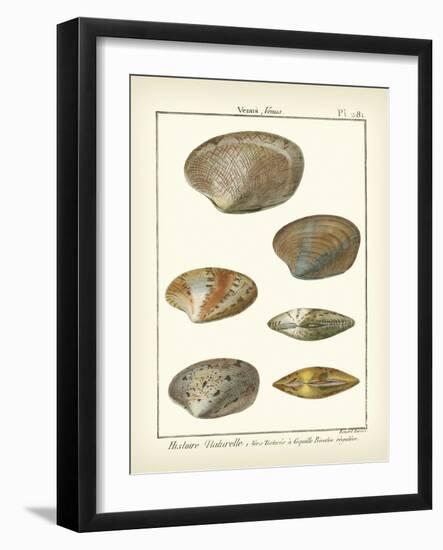 Venus Shells, Pl.281-Diderot-Framed Art Print