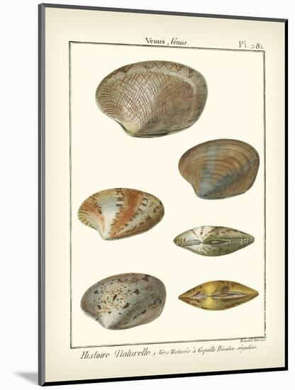 Venus Shells, Pl.281-Diderot-Mounted Art Print