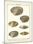 Venus Shells, Pl.281-Diderot-Mounted Art Print