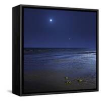 Venus Shines Brightly Below the Crescent Moon from Coast of Buenos Aires, Argentina-Stocktrek Images-Framed Stretched Canvas