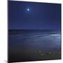 Venus Shines Brightly Below the Crescent Moon from Coast of Buenos Aires, Argentina-Stocktrek Images-Mounted Photographic Print