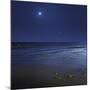 Venus Shines Brightly Below the Crescent Moon from Coast of Buenos Aires, Argentina-Stocktrek Images-Mounted Photographic Print