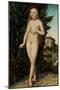 Venus Standing in a Landscape, 1529-Lucas Cranach the Elder-Mounted Giclee Print