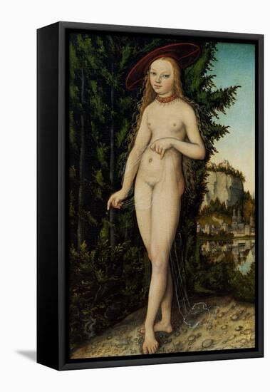 Venus Standing in a Landscape, 1529-Lucas Cranach the Elder-Framed Stretched Canvas