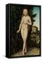 Venus Standing in a Landscape, 1529-Lucas Cranach the Elder-Framed Stretched Canvas