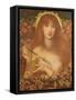 Venus Verticordia, 1868-Dante Gabriel Charles Rossetti-Framed Stretched Canvas