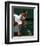 Venus Williams-null-Framed Photo