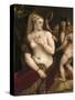 Venus with a Mirror, C. 1555-Titian (Tiziano Vecelli)-Stretched Canvas