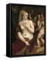 Venus with a Mirror, C. 1555-Titian (Tiziano Vecelli)-Framed Stretched Canvas