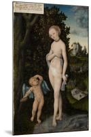 Venus with Cupid Stealing Honey, 1530-Lucas Cranach the Elder-Mounted Premium Giclee Print