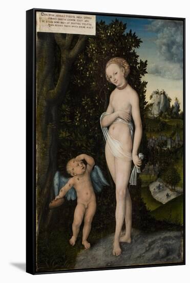 Venus with Cupid Stealing Honey, 1530-Lucas Cranach the Elder-Framed Stretched Canvas