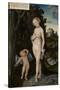 Venus with Cupid Stealing Honey, 1530-Lucas Cranach the Elder-Stretched Canvas