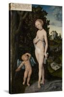 Venus with Cupid Stealing Honey, 1530-Lucas Cranach the Elder-Stretched Canvas