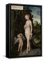 Venus with Cupid Stealing Honey, 1530-Lucas Cranach the Elder-Framed Stretched Canvas