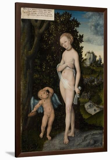 Venus with Cupid Stealing Honey, 1530-Lucas Cranach the Elder-Framed Giclee Print