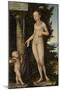 Venus with Cupid the Honey Thief, 1534 by Lucas the Elder Cranach-Lucas the Elder Cranach-Mounted Giclee Print