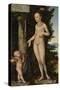 Venus with Cupid the Honey Thief, 1534 by Lucas the Elder Cranach-Lucas the Elder Cranach-Stretched Canvas
