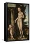 Venus with Cupid the Honey Thief-Lucas Cranach the Elder-Framed Stretched Canvas