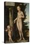 Venus with Cupid the Honey Thief-Lucas Cranach the Elder-Stretched Canvas