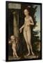Venus with Cupid the Honey Thief-Lucas Cranach the Elder-Framed Giclee Print