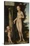 Venus with Cupid the Honey Thief-Lucas Cranach the Elder-Stretched Canvas