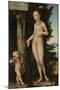 Venus with Cupid the Honey Thief-Lucas Cranach the Elder-Mounted Giclee Print
