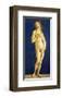 Venus-Sandro Botticelli-Framed Premium Giclee Print