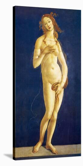 Venus-Sandro Botticelli-Stretched Canvas