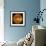 Venus-Stocktrek Images-Framed Photographic Print displayed on a wall