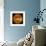 Venus-Stocktrek Images-Framed Photographic Print displayed on a wall