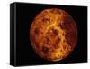 Venus-Stocktrek Images-Framed Stretched Canvas