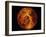 Venus-Stocktrek Images-Framed Premium Photographic Print