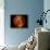 Venus-Stocktrek Images-Framed Photographic Print displayed on a wall