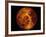 Venus-Stocktrek Images-Framed Photographic Print