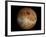 Venus-Stocktrek Images-Framed Photographic Print