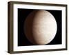 Venus-Chris Butler-Framed Premium Photographic Print