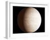 Venus-Chris Butler-Framed Premium Photographic Print