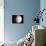 Venus-Chris Butler-Mounted Photographic Print displayed on a wall